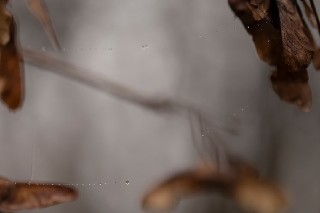 Ocean Breeze Men's Eau de Parfum bottle